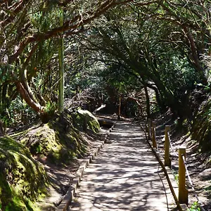 Playa Arena , Araya (Tenerife) España